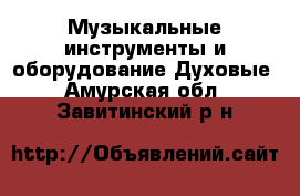 Музыкальные инструменты и оборудование Духовые. Амурская обл.,Завитинский р-н